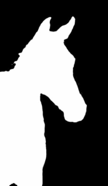 The jumping stallions are shown twice in free jumping instead where the dressage stallions likewise are shown only once.