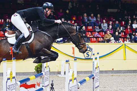 Hingstklasser Dressyr & Hoppning Fredagen den 3 mars är det för sjätte året i rad dags för Swede Horse populära hingstklasser i dressyr och hoppning.