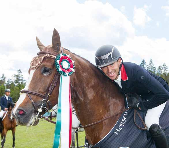 Årets omslagshingst Hasard 1245 (SWB) e Heartbeat 1334 u Favorite du Pas 26401 e Voltaire 356 Stb Uppfödare/Breeder: Elizabeth Lindblad Foto/Photo: Roland Thunholm INNEHÅLL Deltagande hingstar.