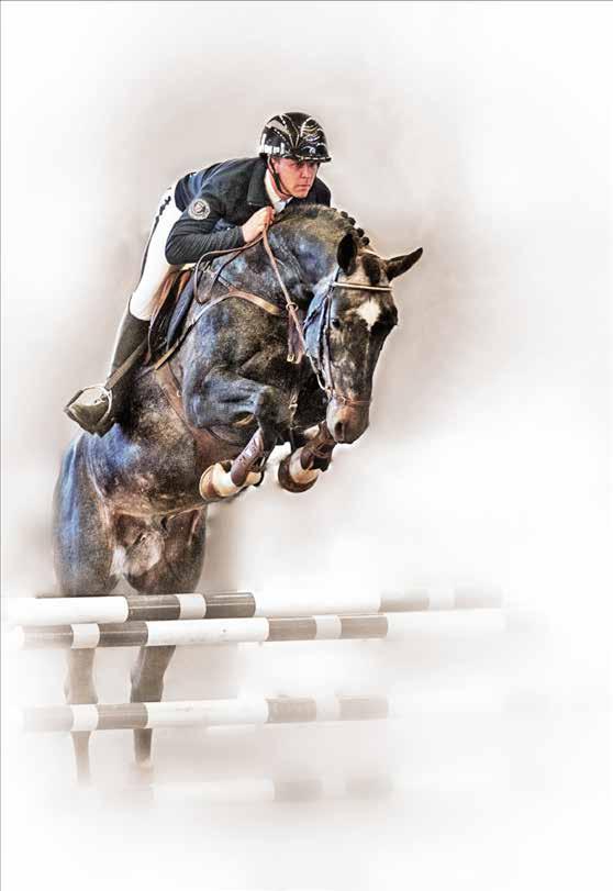 BLÄDDE GÅRD HINGST&SEMINSTATION PRESTATIONSHINGSTAR Hingstar som uppnått bedömningsbarhet enligt Hingstreglementet 2016 via tävlingsmeriter.