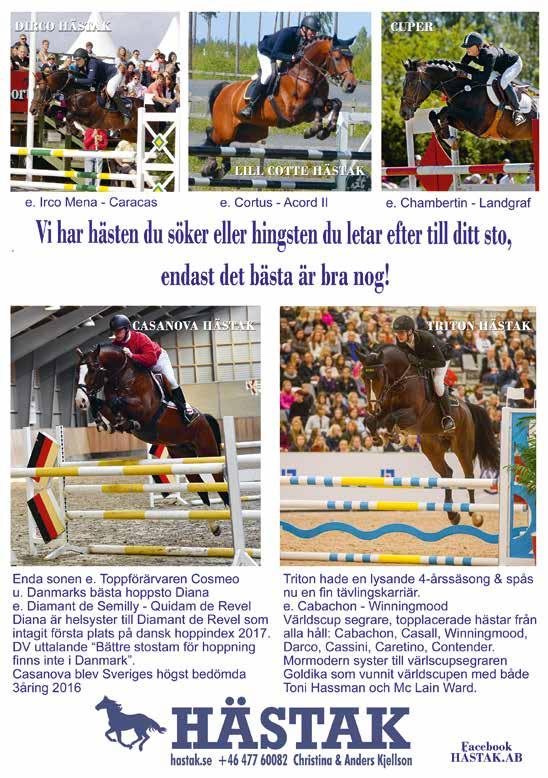 DIREKTKVALIFICERADE Hingstar som ska vara stationerade i Sverige som meritmässigt uppfyller kraven för att vara direkt berättigade till ordinarie betäckningslicens.