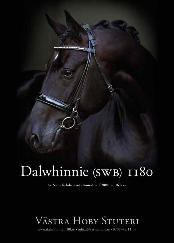 Heartbreaker 95123 Godkänd för spermaimport i SWB Avelsindex Holland: Hoppning 175 (96) Avelsindex Tyskland: Hoppning 182 (91) Godkänd son i Sverige: Etalon Lux N (SWB) Egna tävlingsmeriter: Int.