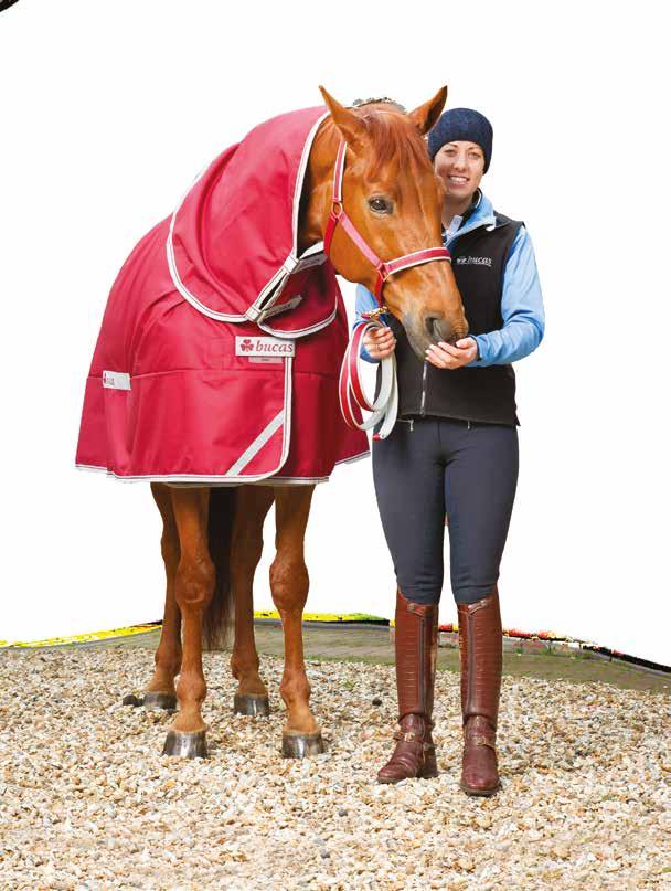 Hingstklasser i hoppning och dressyr FAS II 4/3 Lördag Löshoppning 3-åriga hopphingstar Gångarter 3-åriga dressyrhingstar Testryttare