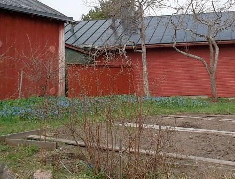 På den lilla gården finns en vistelseplats och ett trädgårdsland som antas av tre besurna fruträd.