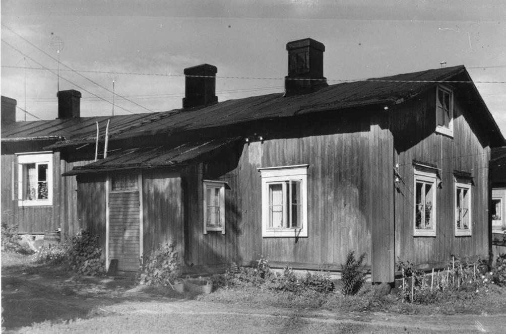 Förändringar i växtbeståndet under den senaste tiden Utmed väggen odlades deorations- och nyttoväxter. I anspråslösa hus hade området framför ingången en stenbeläggning av ullerstenar.