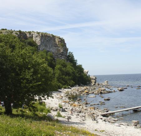 NATUR / BOTANIK Flora och fauna på Stora Karlsö 23 27 maj NATUR / BOTANIK Trädgårdsdesign färg och form 4 8 juni Ta chansen att under fem dagar få uppleva den fantastiska naturen på Stora Karlsö.
