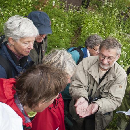 Kursen vänder sig till alla naturintresserade. Under sakkunnig ledning får du tillfälle att fördjupa dig i öns fågelliv, växter, insekter och fossil.