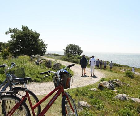 Måltiderna under dagsutflykterna tar var och en med sig från skolans restaurang. Du tar med dig egen cykel och hjälm eller så lånar du en äldre oväxlad på skolan.