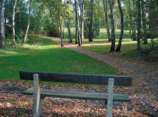 På berget, speciellt längs kanterna nere vid Ehrenströmsgatan och början av Dr Allards gata växer karaktärsfull och värdefull ekskog.