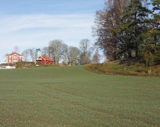 En boplats i Grebo 11 Fig 4. Undersökningsområdet låg precis på krönet och till höger skymtar Rävkullen med RAÄ 219. Foto RAÄ, UV Öst.