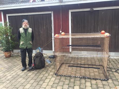 Tabell 2. Parametrar för överlevnadsförsök av torsk som tagits upp i fällorna och exponerats för luft (Tid yta), där levande och döda visar antalet fisk i de två kategorierna efter slutfört delförsök.
