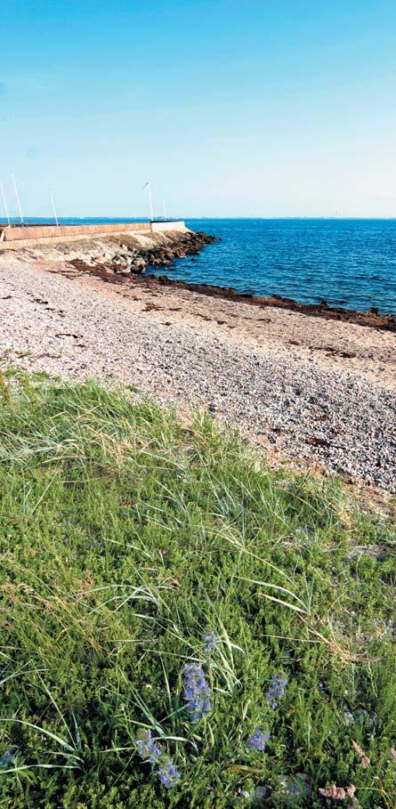 FÖRVALTNINGSBERÄTTELSE Finansiell analys För att kartlägga och analysera resultat, utveckling och ställning för Kävlinge kommun används en finansiell analysmodell som utgår från fyra finansiella