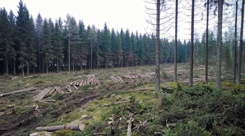 12 Skogsägaråsikter gällande nya skogslagen Text: Jens Bäckman Syftet med mitt examensarbete var att ta reda på skogsägarnas åsikter om två centrala förändringar i skogslagstiftningen.