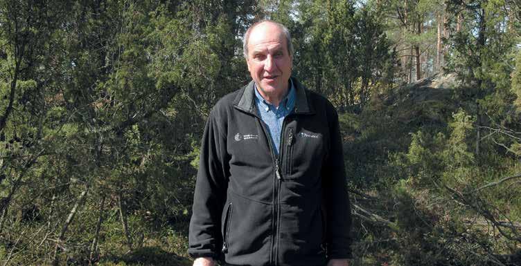 6 Hasse Randström går i pension Hasse Randström anställdes som forsttekniker genast efter fullgjord värnplikt, den 15 oktober 1971 av Västra Nylands privata Skogsrevir, då med Kalle Örnmark i spetsen.