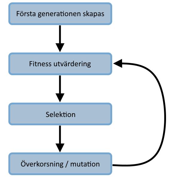 Figur 5 Evolutionscykeln av en evolutionär algoritm. I Figur 5 illustreras cykeln som en evolutionär algoritm ofta följer. Varje iteration i denna cykel kallas för en generation.