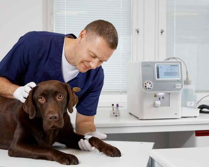 Boule fortsätter satsa på en växande veterinärmarknad Diagnostikmarknaden för djur fortsätter att uppvisa en stark tillväxt driven av människors starka band till djur.