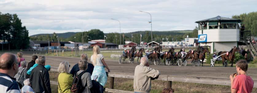 Vi hälsar er varmt välkomna till Värmlands smultronställe nr!