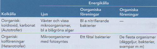 Alger I biologiska dammar är alger den dominerande mikroorganismen, vid sidan av bakterier. I likhet med andra biologiska processerer förekommer även här en blandflora av alger.