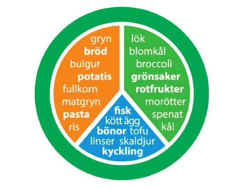 Tallriksmodellen Energibehovet påverkas av bland annat ålder, kön, kroppsstorlek och fysisk aktivitet.