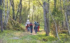 Kom och njut av de vackra omgivningarna, pausar gör du med fördel i caféet eller med din egen picknick-korg. Under sensommaren går Tjörn Triathlon av stapeln, då blir det folkfest i Skärhamn.