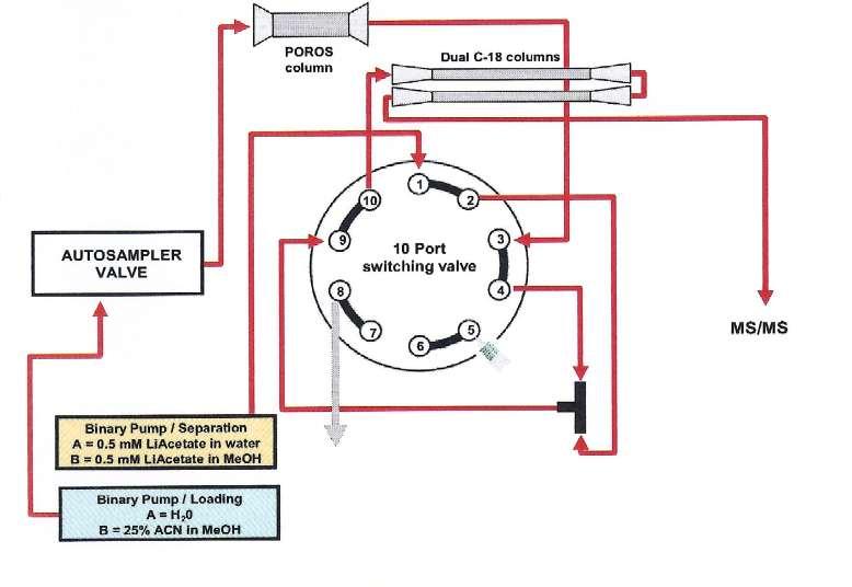 Steroider 2D kromatografi Prov renas On-line ex Separation analyskolonn Strata Analyskolonn Prov 100µL injiceras Till slask Vid reningssteg