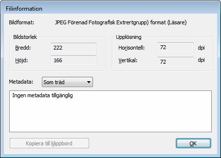 Fönstret Filinformation 8 Fönstret Filinformation Fönstret Filinformation innehåller information om bilden. Om fotot togs med en digitalkamera finns i allmänhet metadata, t.ex.