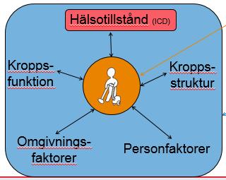 Relaterade faktorer Lagar och riktlinjer U p p