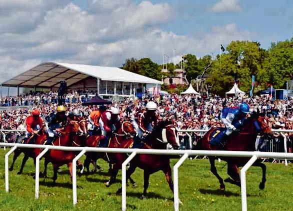 JÄGERSRO GALOPP Tävlingarna arrangeras av Skånska FältrittklubbenSvensk Galopp www.svenskgalopp.se e-post info@svenskgalopp.se Adress Jägersro Galopp, Box 9506, 200 39 Malmö Öppettider Mån-fre 8.