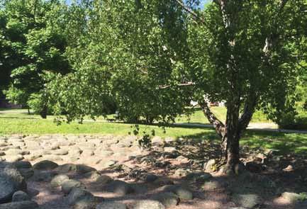 Besökstryck: Mycket högt. Kommer att öka i.o.m. plaerad bebyggelse på Ligväges atioer i orra dele av Starrmyras parkmark. Vära aturmarke och särskilt Starrmyras barrskogssambad. Vära plaa ytor.