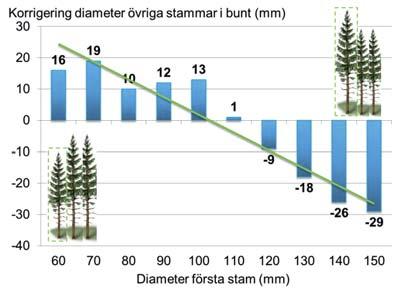 Figur 4. Illustration av kalibreringsmodell där övriga stammar i en bunt får justerad diameter jämfört med första stam. Resultatet i figuren är medel av avverkade stammar i studien.