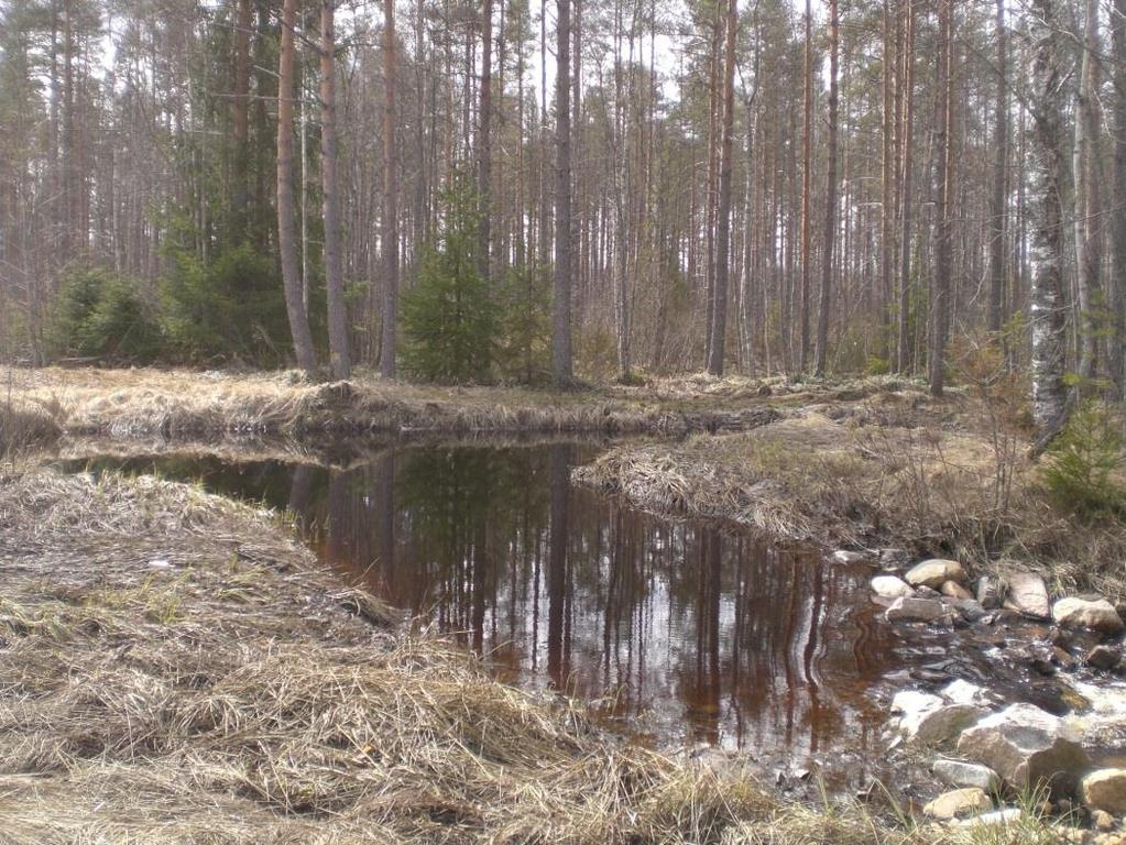Figur 5. Sedimentationsdamm med en dammvall byggd av stenar i Finland.