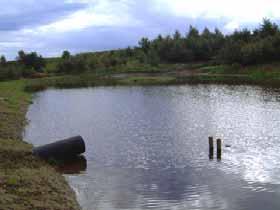 4 Edenberga 8:3 Våtmarken är anlagd längsmed Långavadsbäcken på vad som tidigare var skog. L åglänt mark intill Långavadsbäcken som närmast omges av planterad ek.