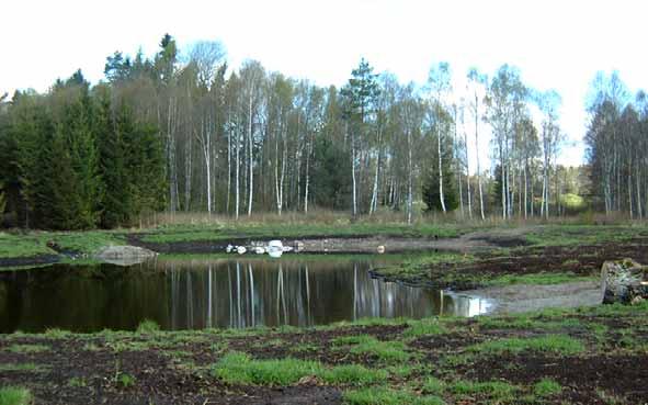 76 Stubbhult 1:9 Denna övre damm får vatten från skogen via ett dike. E tt litet område med betesmark som omges av skog, främst gran.