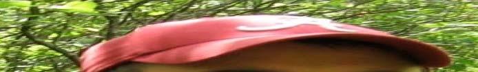2009 2012