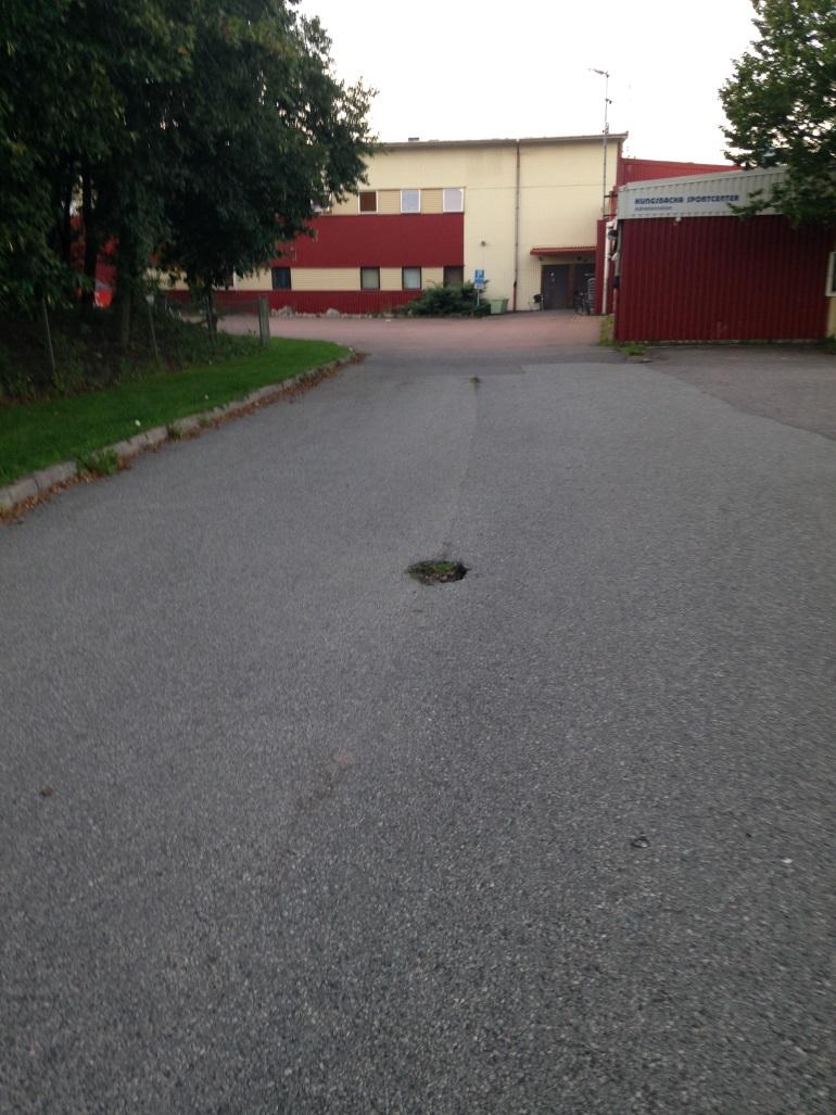 15. Mellan simhall och