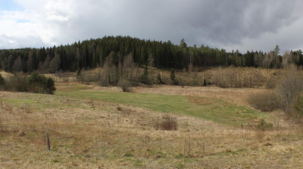 6.5.4.2.2 Fokusområde Landskap Delområdet omfattar det skogsdominerade småkuperade området strax väster om Sommen och som fortsätter norr om Tranås tätort.