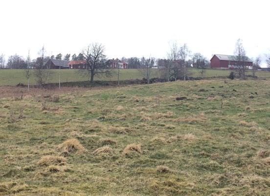 landena med bland annat stor mängd årlig nederbörd.