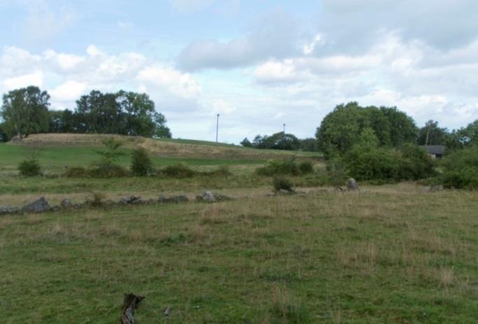 Mellan den raserade stenmuren och kullen (område för brukshundsklubben), finns fuktstråket som inventerades och där våtmarker planeras.