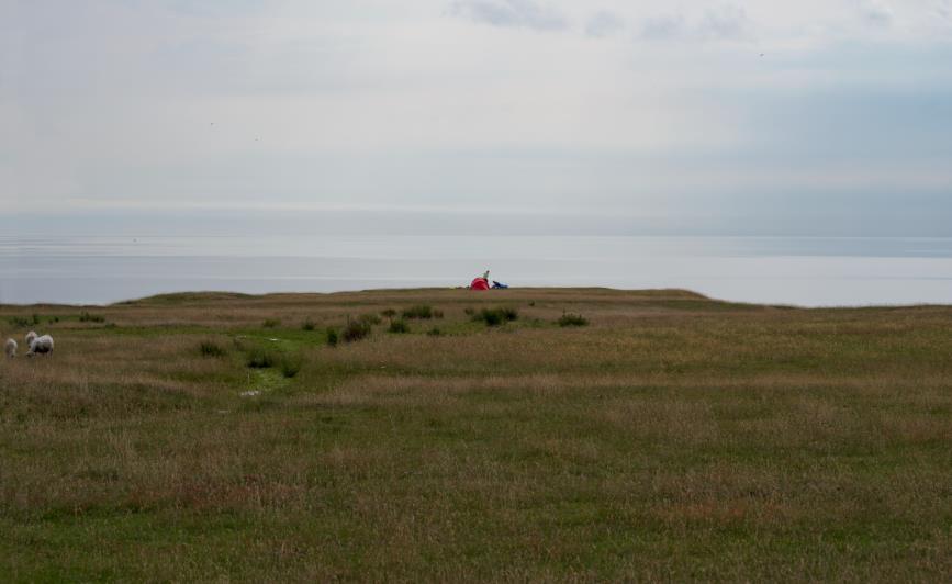 Figur 20. Vy över område 6 mot havet.