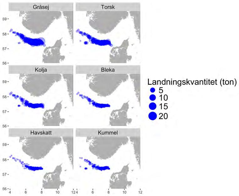 Aqua reports 2018:3 Figur 2.4.8. Utbredning av fiskeplatser (rapporterade landningar) för de sex ekonomiskt mest betydelsefulla arterna i bottentrålfisket i Nordsjön.