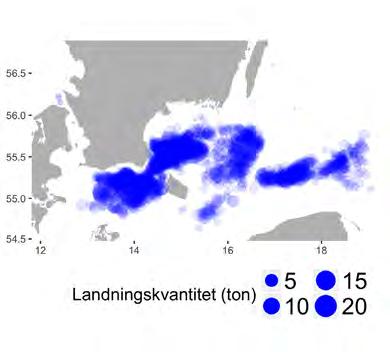 Figur 2.6.1. Utbredning av a) fiskeplatser (rapporterade landningar) och b) landningshamnar för trålfisket efter torsk i Östersjön 2015.