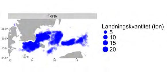 Aqua reports 2018:3 Figur 2.6.8. Trålfiske efter torsk i Östersjön. a) Landningsvikt för alla i fisket landade arter sorterat efter fallande vikt.