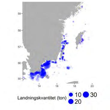 Passiva redskap 2.7.