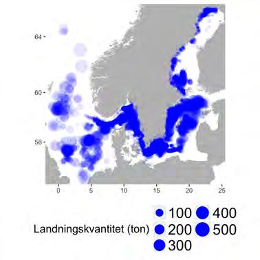 Aqua reports 2018:3 generellt sett av ett större antal mindre fartyg som använder passiva redskap som nät, burar, tinor, ryssjor och fällor och ett mindre antal större fartyg som använder aktiva