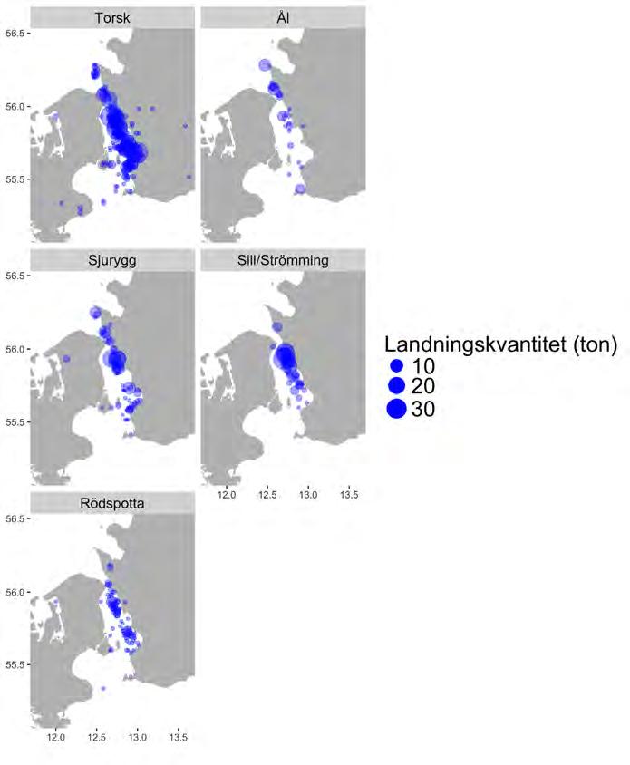 Figur 2.10.9. Utbredning av fiskeplatser (rapporterade landningar) för de åtta ekonomiskt mest betydelsefulla arterna i fisket med passiva redskap i Öresund 2015.