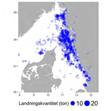 Aqua reports 2018:3 Figur 2.11.1. Utbredning av a) fiskeplatser (rapporterade landningar) och b) landningshamnar i fisket med passiva redskap på västkusten 2015.