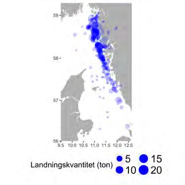 Aqua reports 2018:3 Burfiske efter havskräfta i Skagerrak och Kattegatt är företrädelsevis en svensk angelägenhet, då Norge endast fiskar i marginell omfattning och Danmark bara fiskar havskräfta med