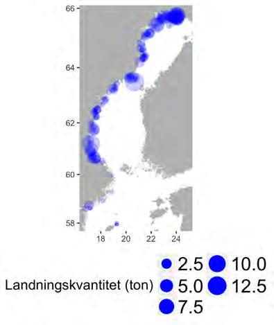 2.13. Fiske efter lax Fiske efter lax i Östersjön sker idag (2015) främst kustnära i Bottenhavet och Bottenviken, men mindre kvantiteter fångas även i norra egentliga Östersjön och kring Gotland