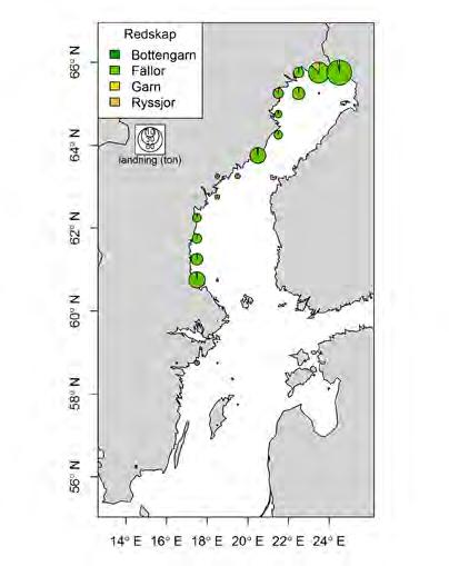 Fällor och ryssjor har varit det primära fångstredskapet under hela perioden 2003-2015 (Figur 2.13.5 b) och längst med hela kusten (Figur 2.13.6).