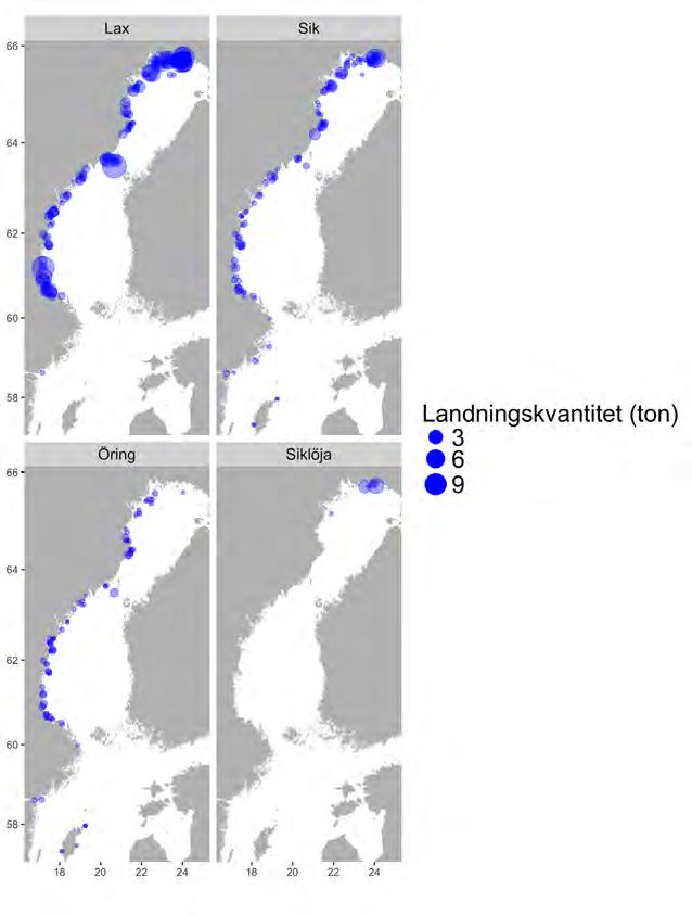 Aqua reports 2018:3 Figur 2.13.9. Utbredning av fiskeplatser (rapporterade landningar) för de fyra ekonomiskt mest betydelsefulla arterna i fisket efter lax 2015.